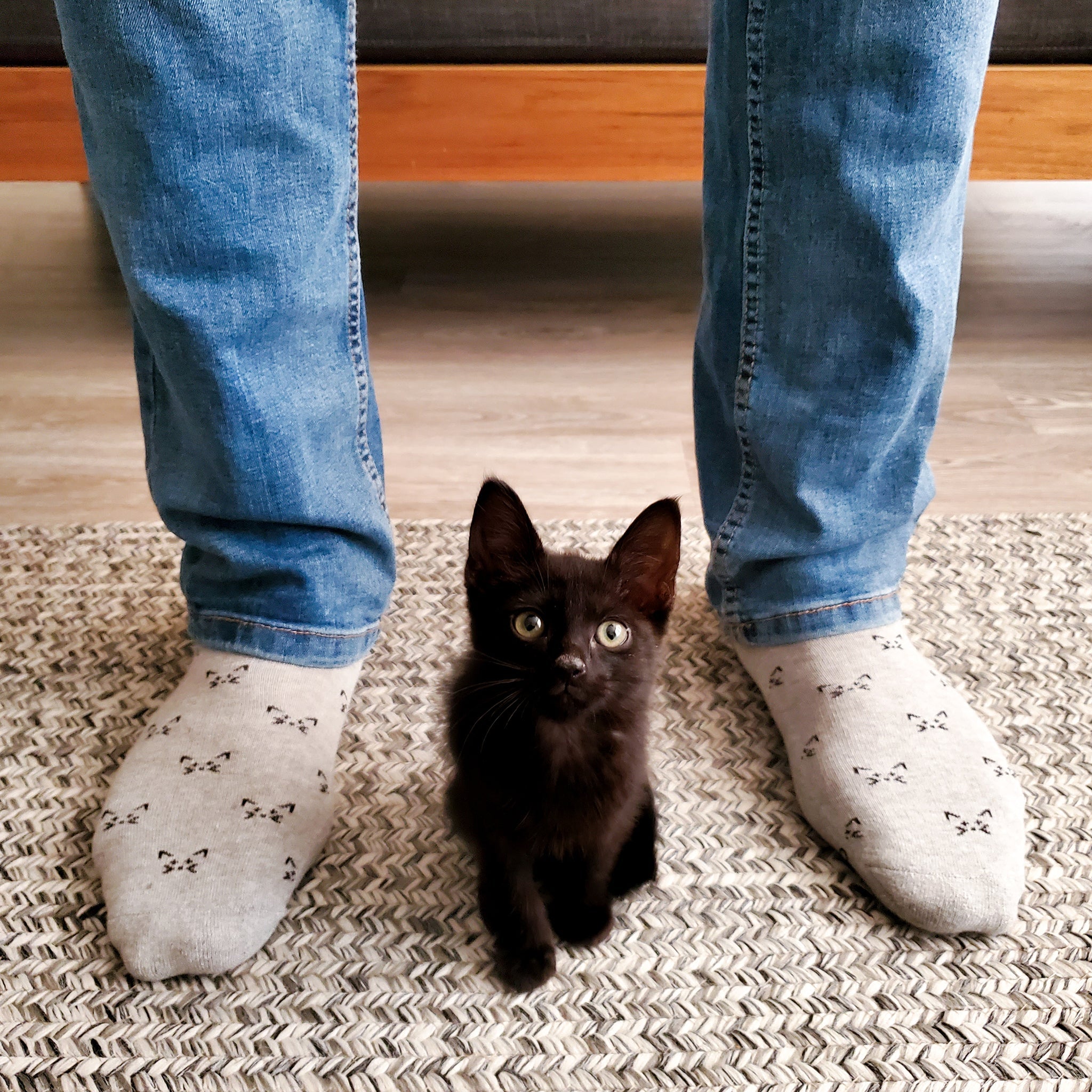 Close-up of cat sock pattern — Conscious Step