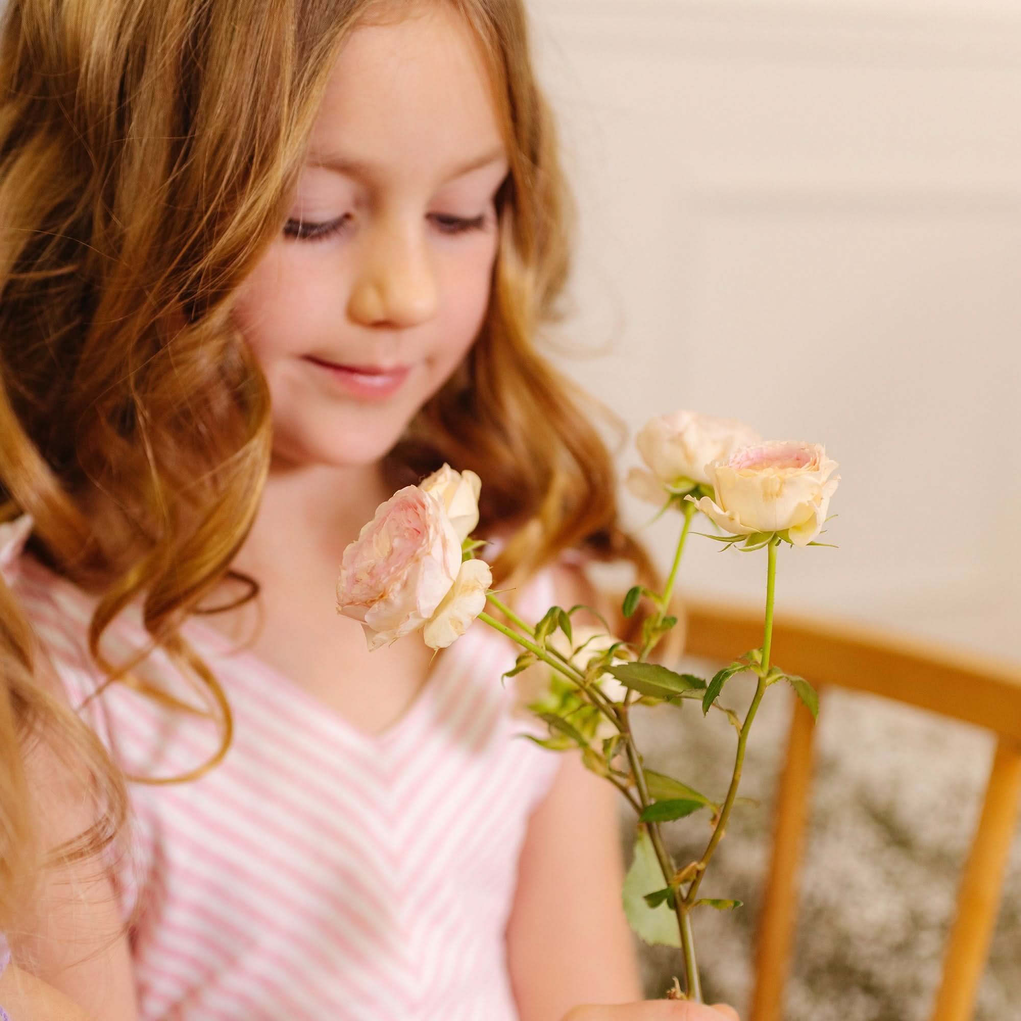 Bow Shoulder Swing Dress