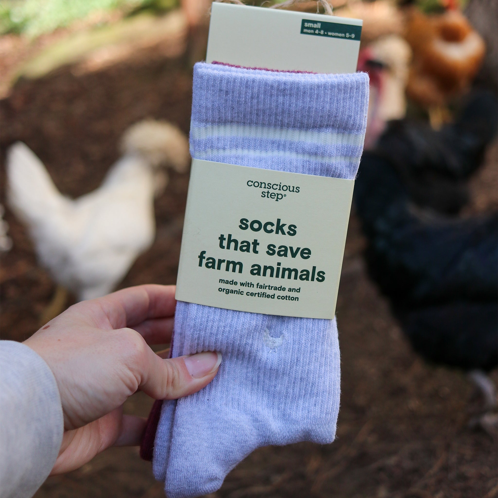 Comfort Crew Socks that Save Farm Animals — ribbed organic cotton crew socks in beige, gray & plum
