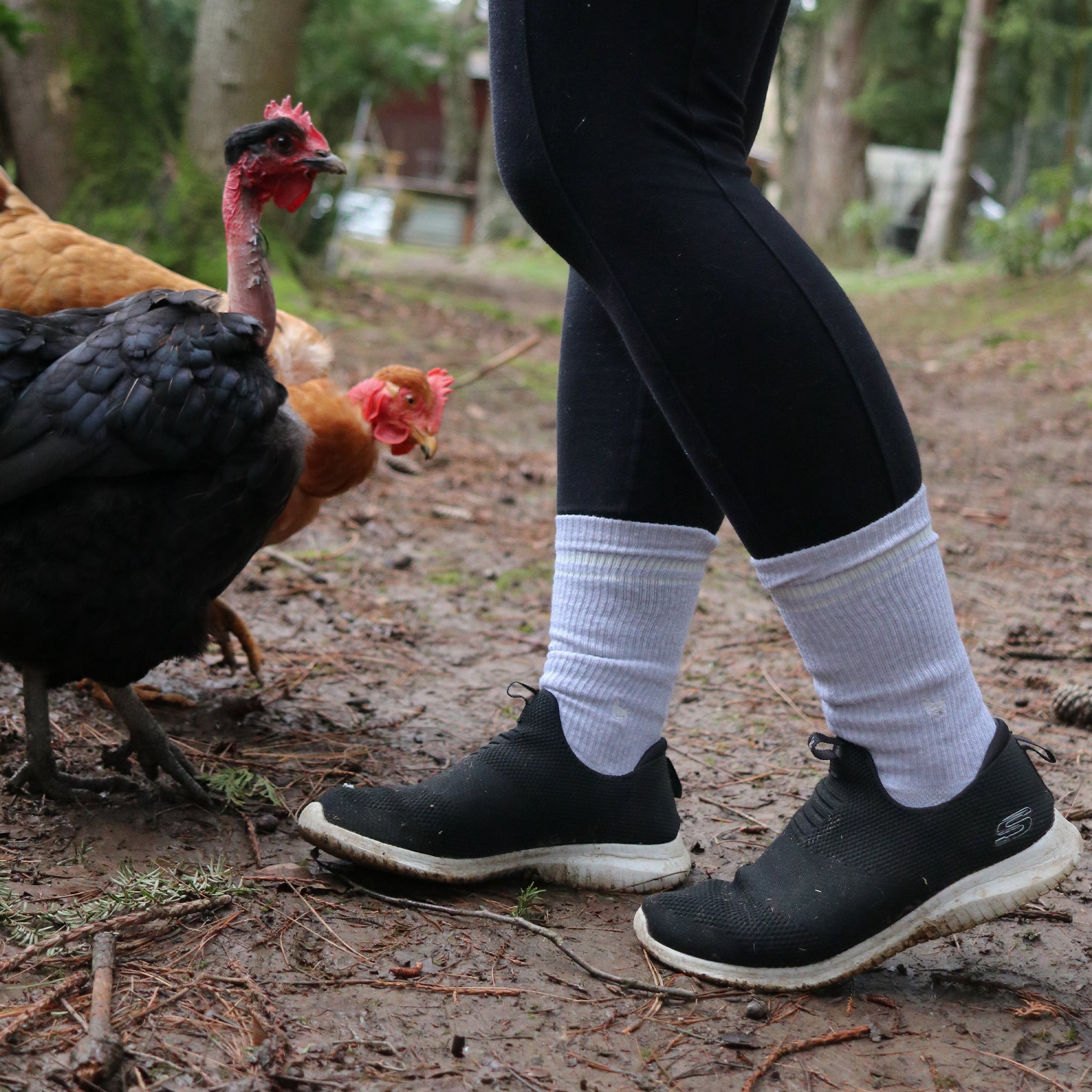 Comfort Crew Socks that Save Farm Animals — ribbed organic cotton crew socks in beige, gray & plum