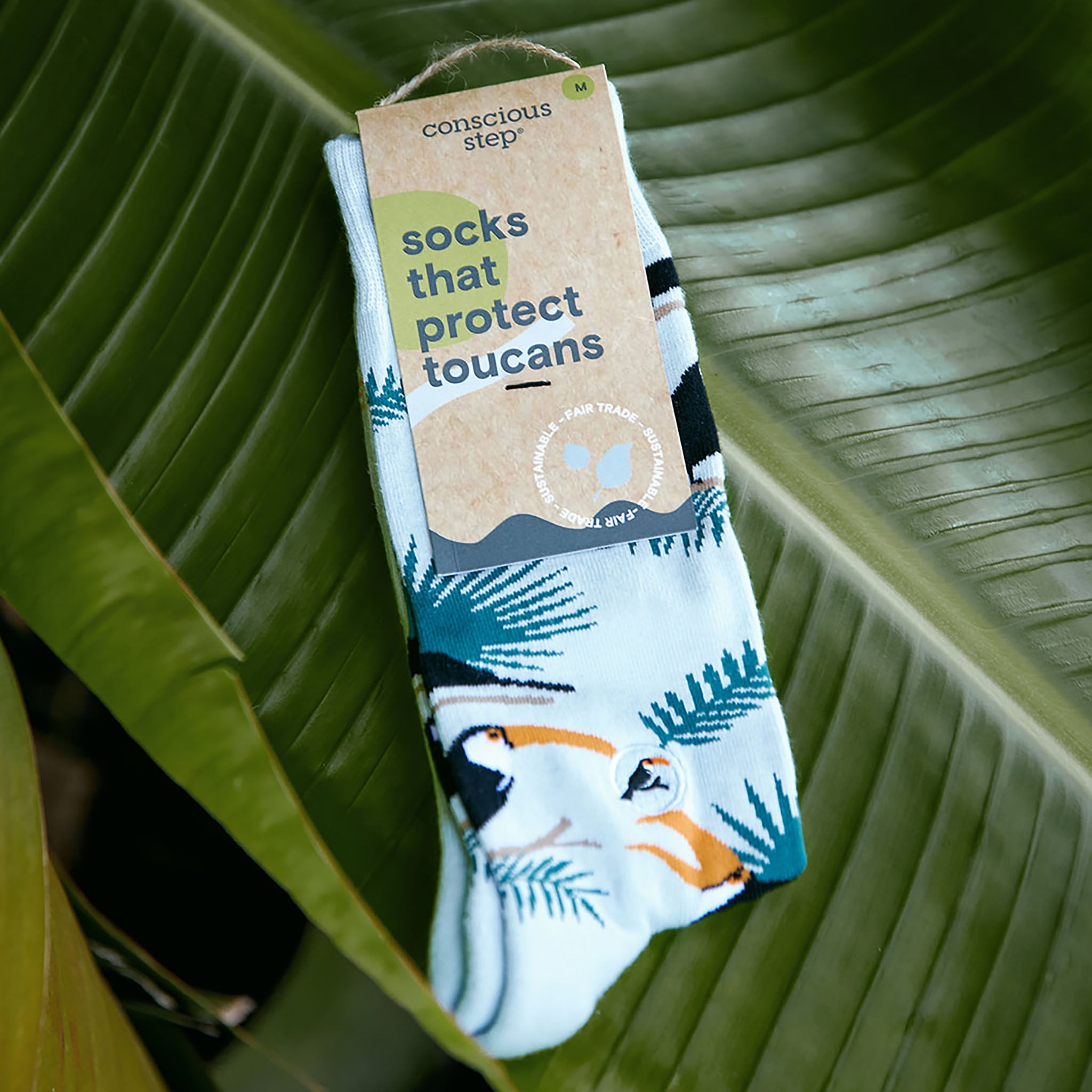 Close-up of toucan sock pattern — Conscious Step
