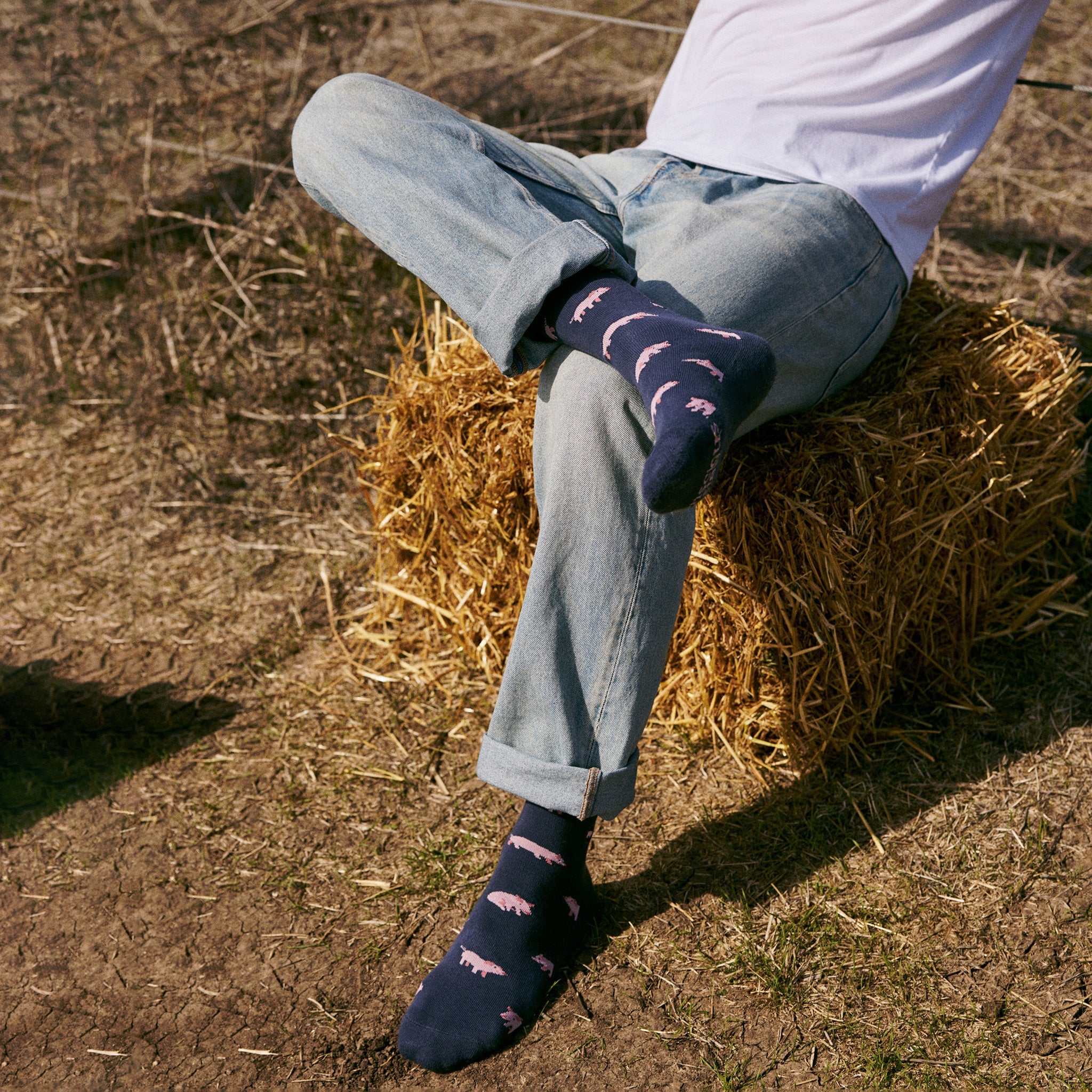 Save Farm Animals Gift Box — organic cotton crew socks with farm animal designs, gives back