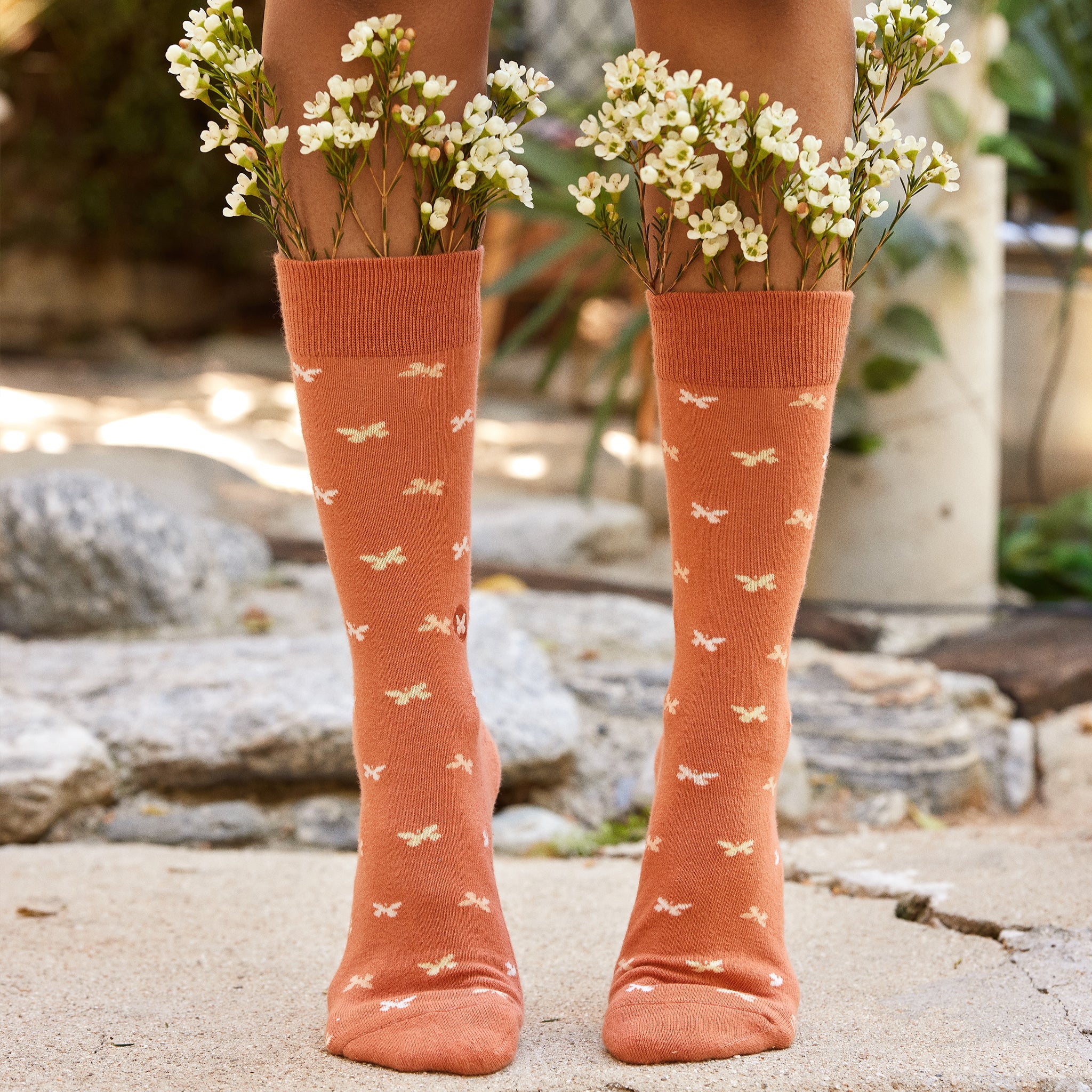 Stop Violence against Women Gift Box — organic cotton crew socks, butterfly embroidery, gives back