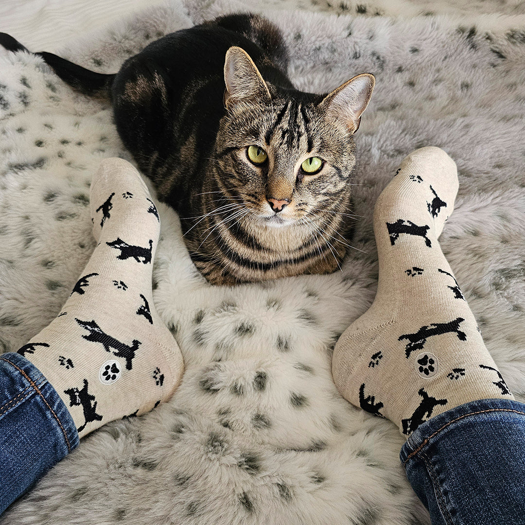 Close-up of black cat sock pattern — Conscious Step