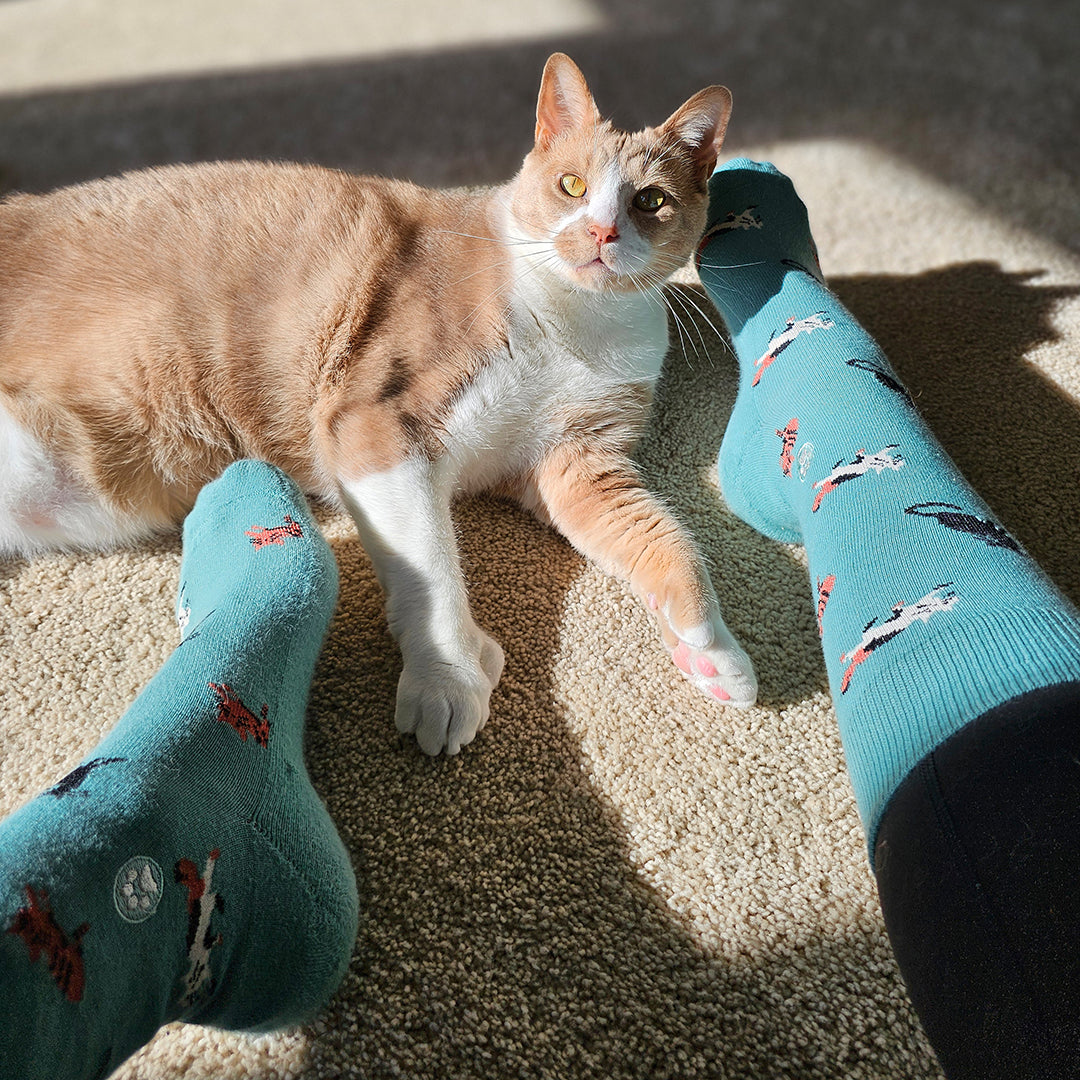 Save Cats Gift Box — organic cotton crew socks in green, gray & cream, gives back