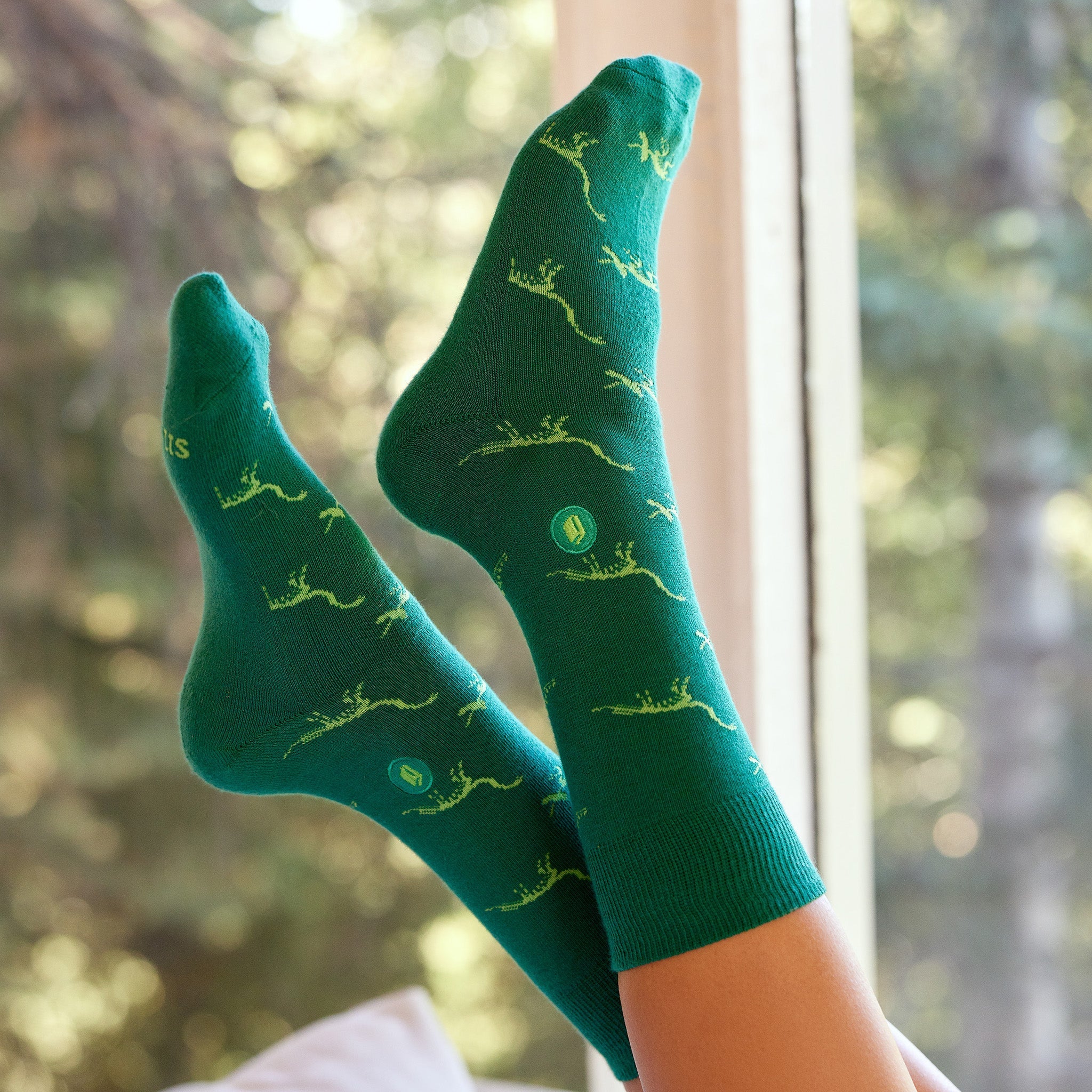 Socks that Give Books