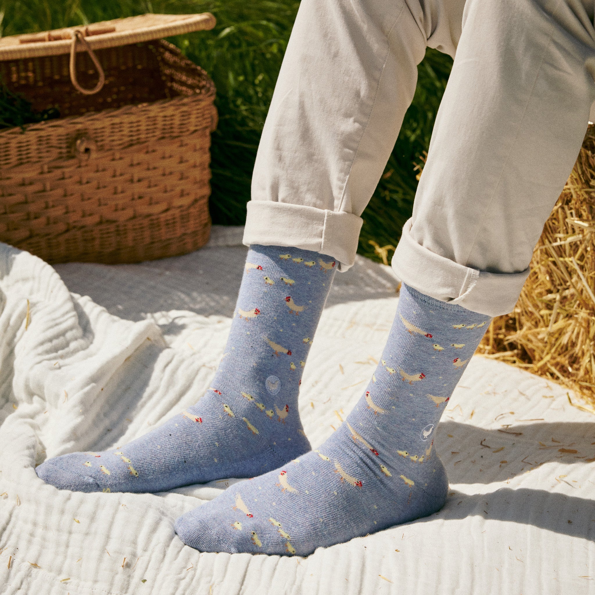 Save Farm Animals Gift Box — organic cotton crew socks with farm animal designs, gives back