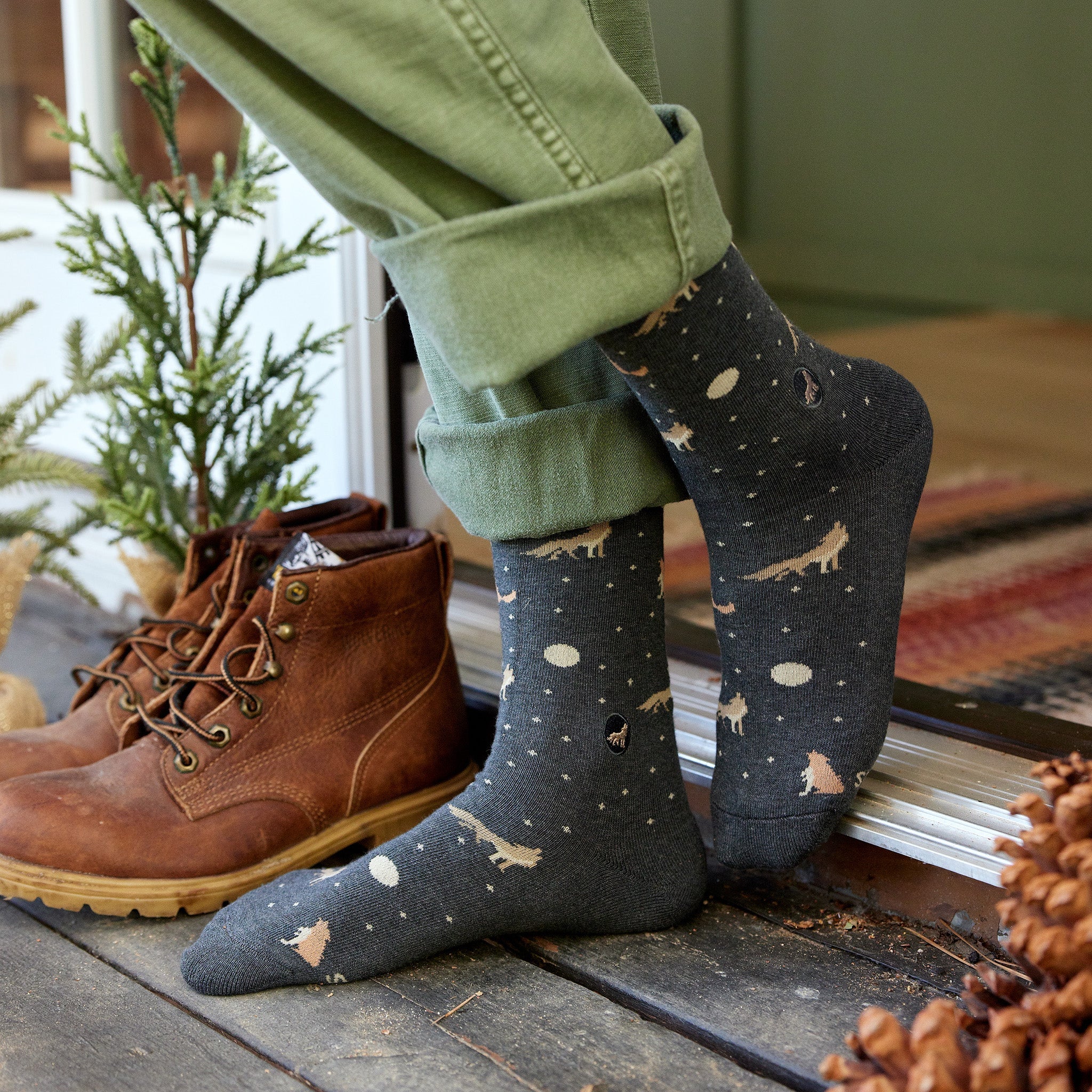 Protect National Parks Gift Box — organic cotton crew socks: bear, fox & wolf designs