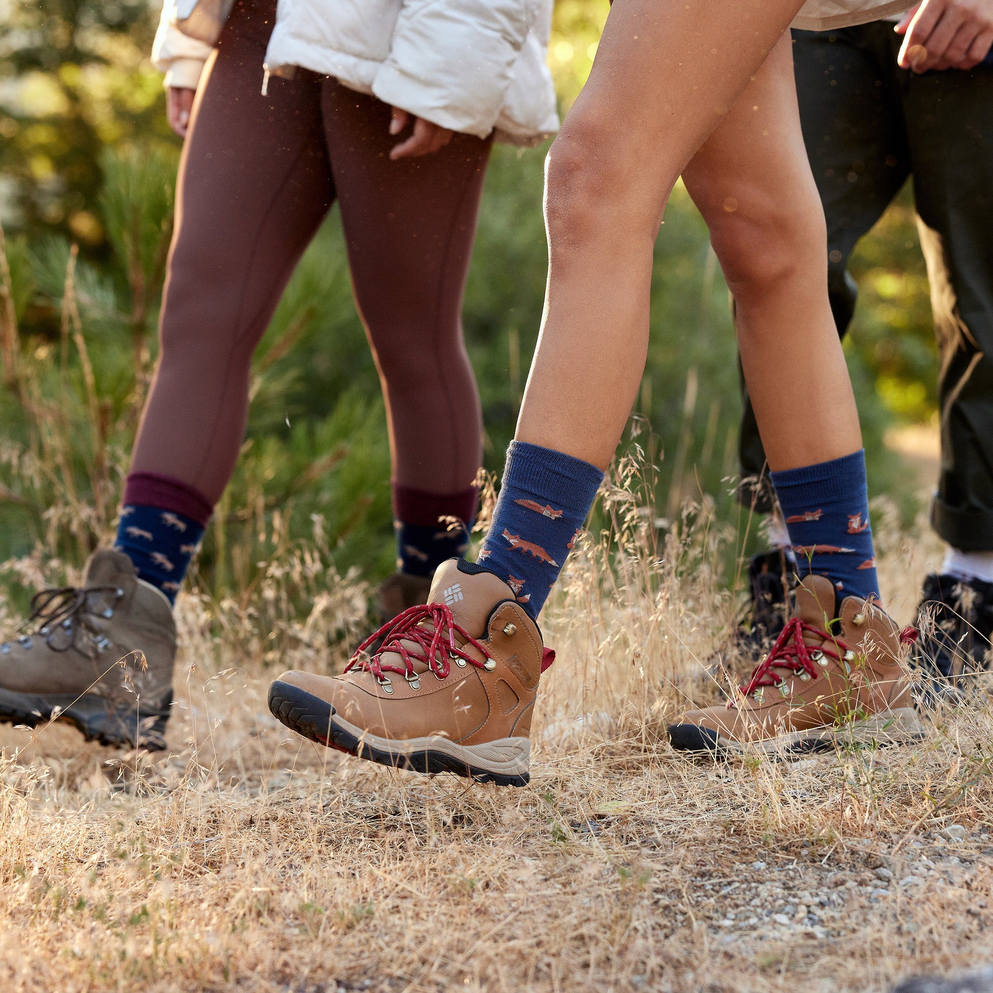 Protect National Parks Gift Box — organic cotton crew socks: bear, fox & wolf designs